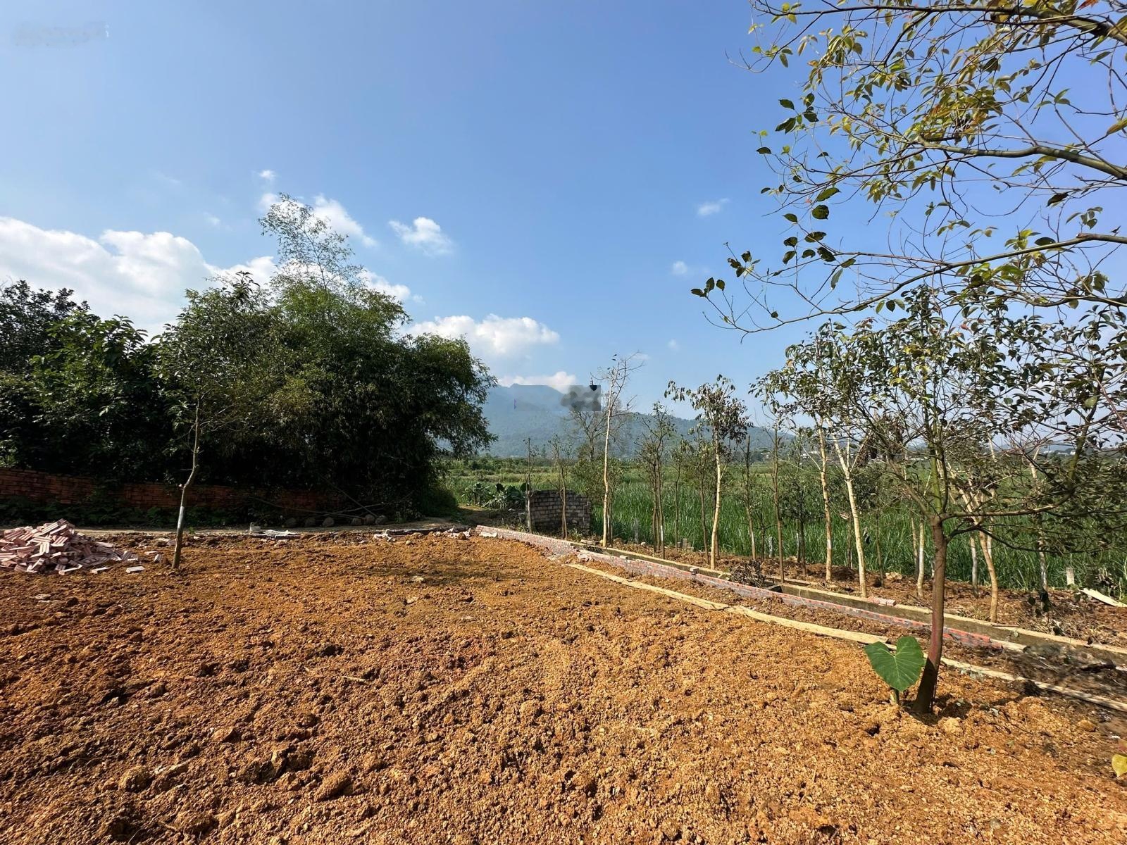 Đất Yên Bài - Ba Vì Nghỉ dưỡng, đầu tư đón sóng hạ tầng chỉ với 2 tỷ!