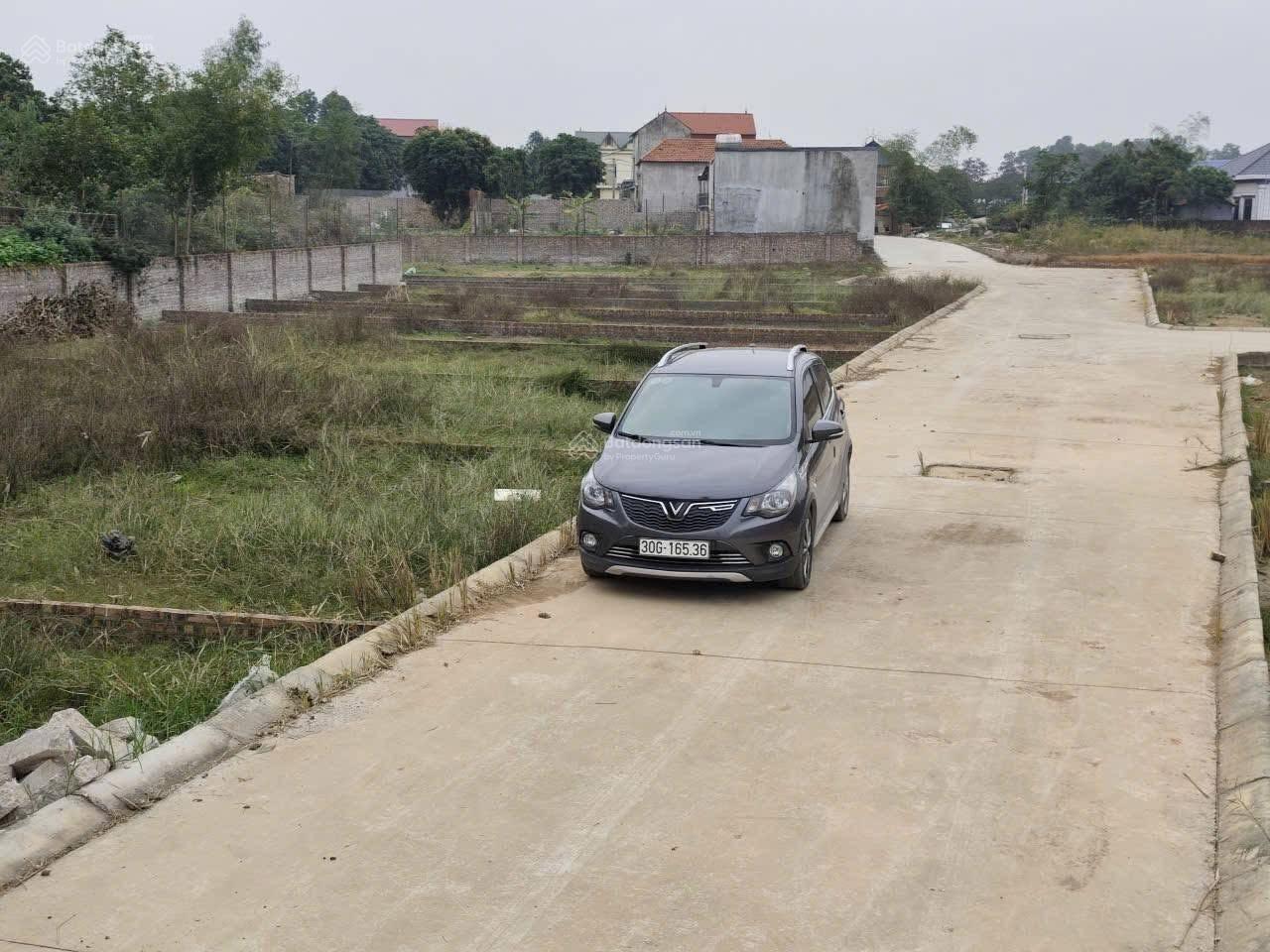 Chủ cần tiền bán gấp 100m2 full thổ cư Phú Thịnh, Kim Anh, Hà Nội