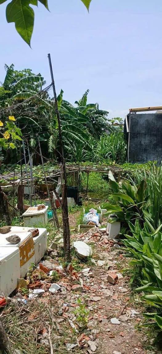 Bán đất thành phố Vũng Tàu, tỉnh Bà Rịa, Vũng Tàu, giá 490 triệu