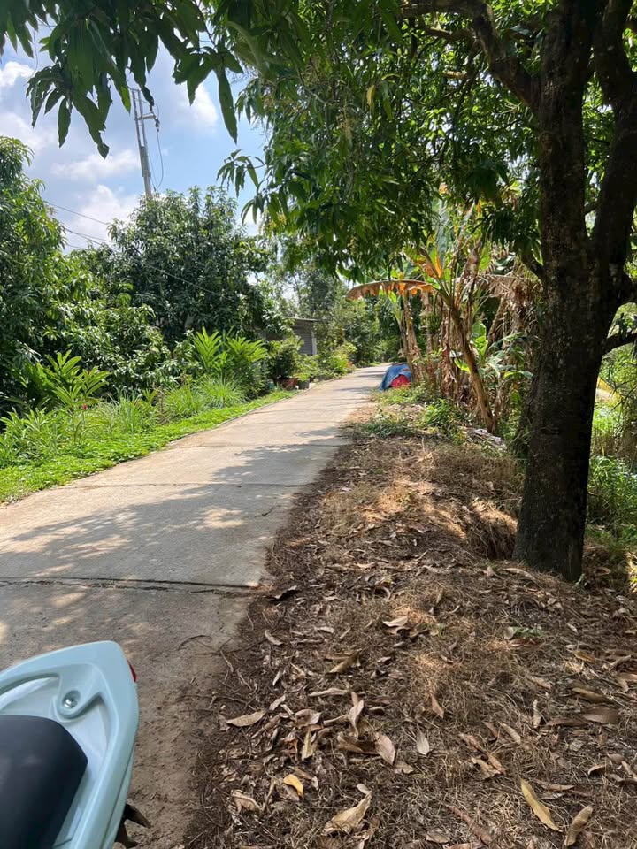 Bán đất thành phố Cao Lãnh tỉnh Đồng Tháp