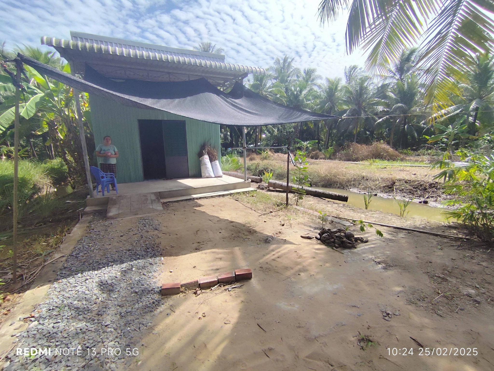 Bán đất diện tích 500m2 tặng căn nhà tại ấp Tân Thiện, xã Tân Thành Bình, Mỏ Cày Bắc