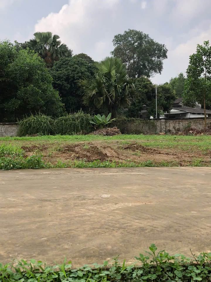 Bán lô đất cách đường Quang Trung 50m, đường ô tô tránh nhau, gần chợ Đán