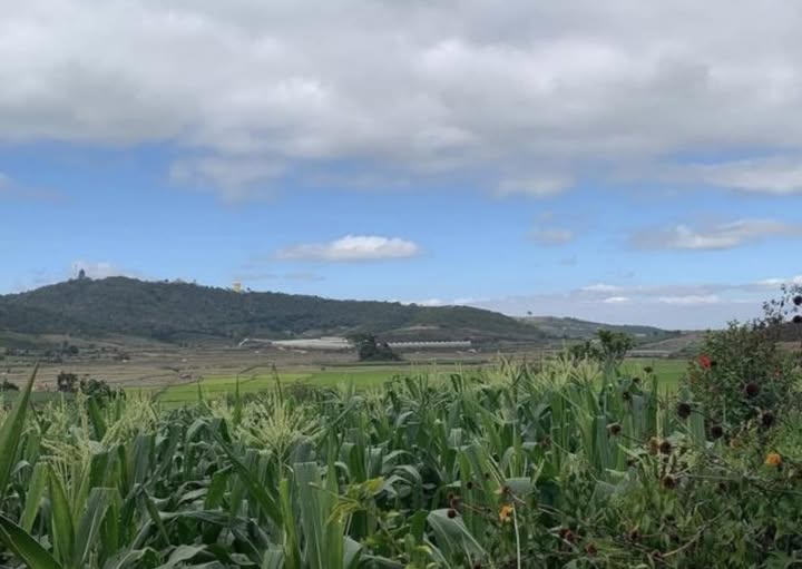 Bán đất tại thôn Kinh Tế Mới, Tu Tra, Đơn Dương, giá 399 triệu