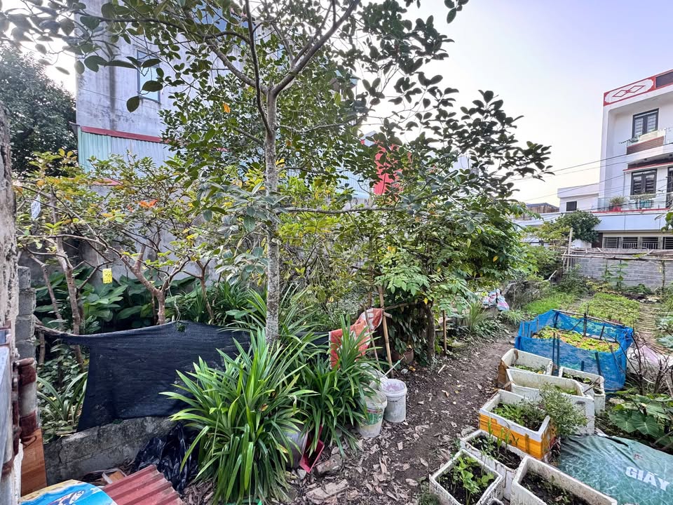 Bán đất quận Kiến An, thành phố Hải Phòng, giá 33 triệu/m2