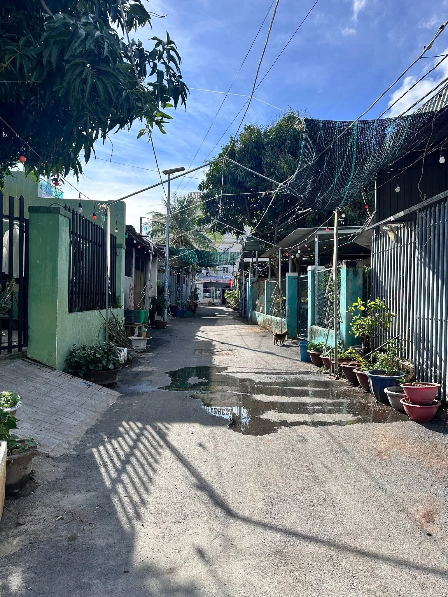 Bán nhà cấp 4 Phước Thái, gần nhà thờ, đường rộng thông, giá 2.7 tỷ