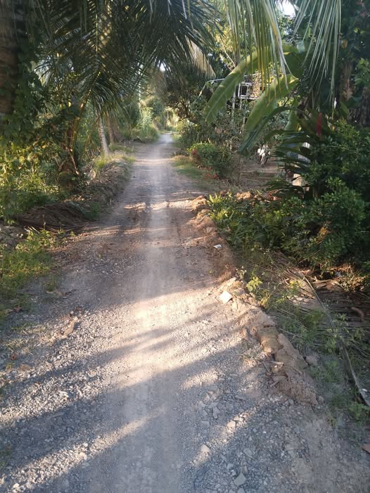 Bán 3000m2 đất, mặt tiền 22m, lộ đá mi thuộc xã Tân Hội Trung cũ nay là Bình Hàng Trung, tỉnh Đồng Tháp