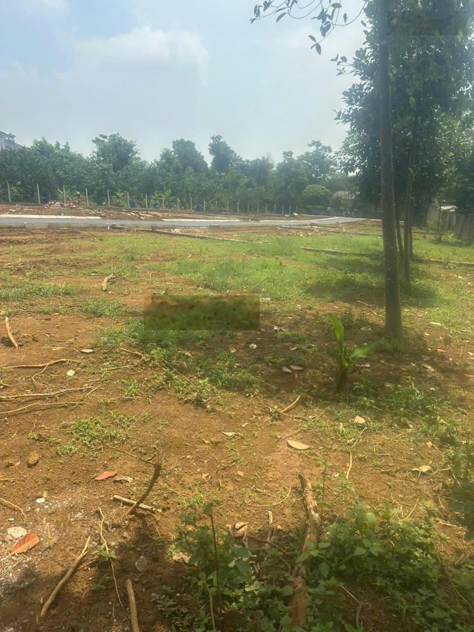 Lô đất cách đường huyện lộ nối K9 đi khoáng nóng Thuần Mỹ chỉ 30m, cách trường, chợ, trạm hơn 1km