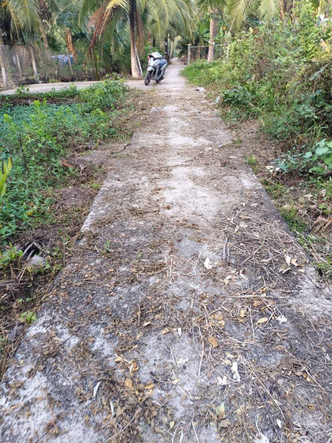 Bán đất thành phố Bến Tre, tỉnh Bến Tre, giá 1 tỷ