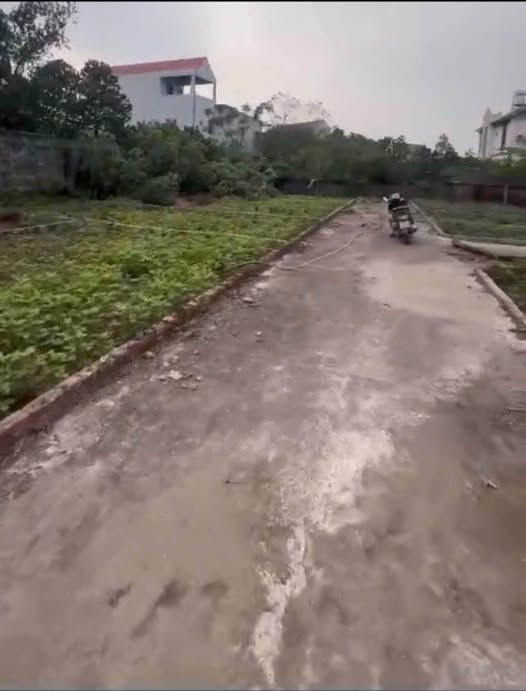 Bán mảnh đất đẹp 43m² tại Tả Thanh Oai, Thanh Trì, giá chỉ 4 tỷ