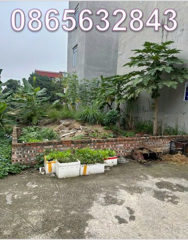 Bán đất vị trí đẹp tại Đông Bình, Gia Bình, Bắc Ninh, giá 4.4 tỷ