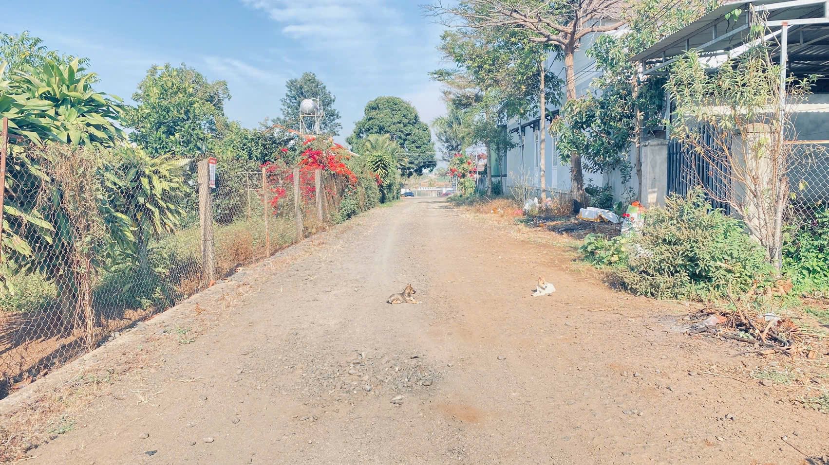 Bán 2 lô đất nhánh Lý Thái Tổ, đối diện hồ Nam Sơn, trung tâm Đức Trọng, Lâm Đồng, giá 2.6 tỷ