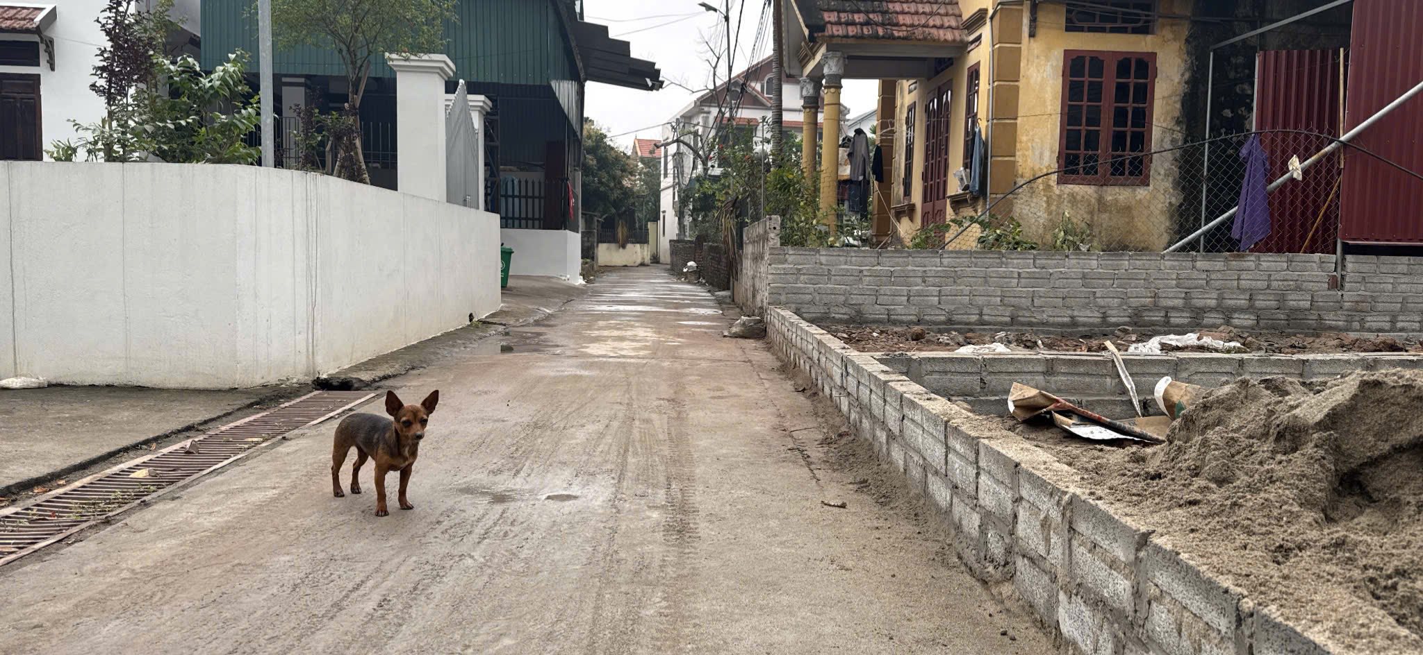 Bán lô đất full thổ cư diện tích 67,2m2 tại Phi Liệt, Liên Nghĩa, Văn Giang, Hưng Yên