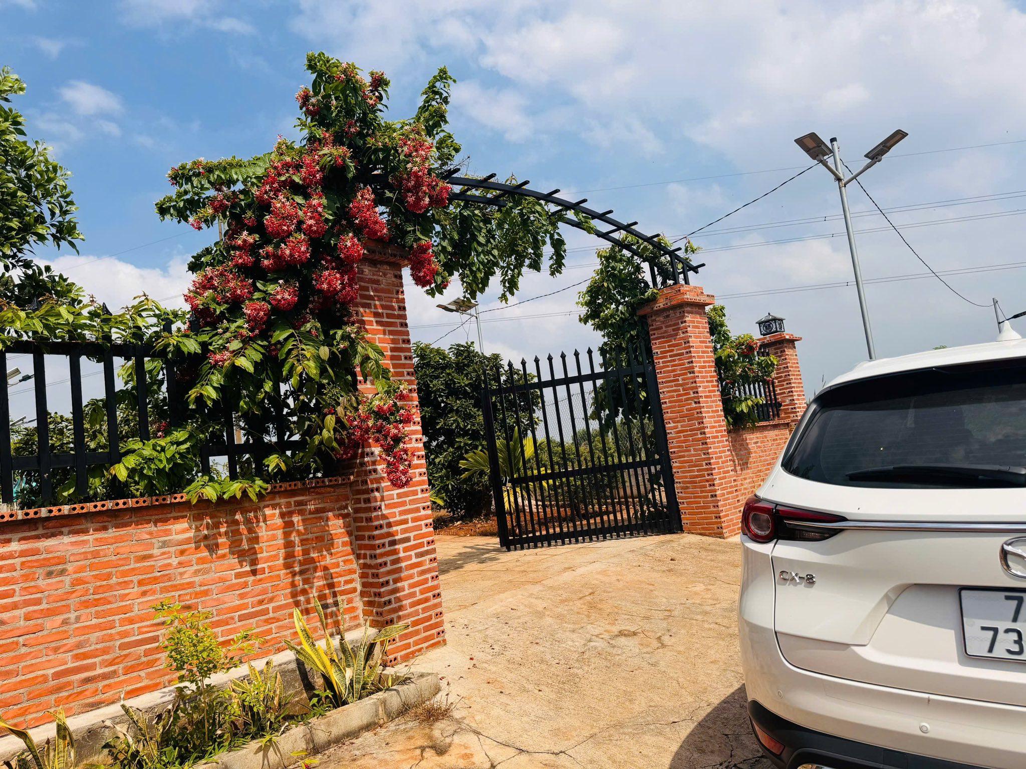 Bán vườn cây ăn trái, khuôn viên đẹp trung tâm Đất Đỏ, thành phố Hồ Chí Minh, giá 1.8 tỷ