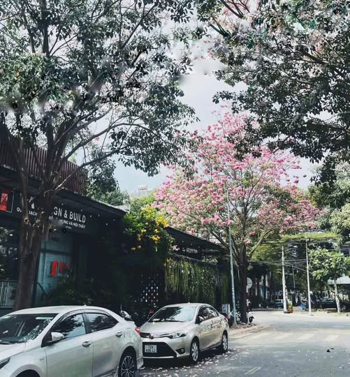 Bán lô đất tặng nhà tại khu Đại An, Phường 9, Vũng Tàu cũ, giá 6.5 tỷ