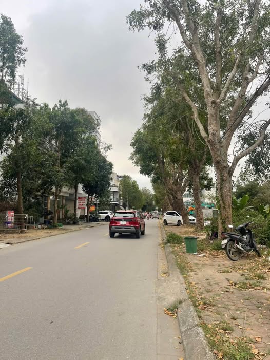 Bán đất vàng Xã Cừ, Nguyễn Công Trứ, cơ hội kinh doanh đắc lợi