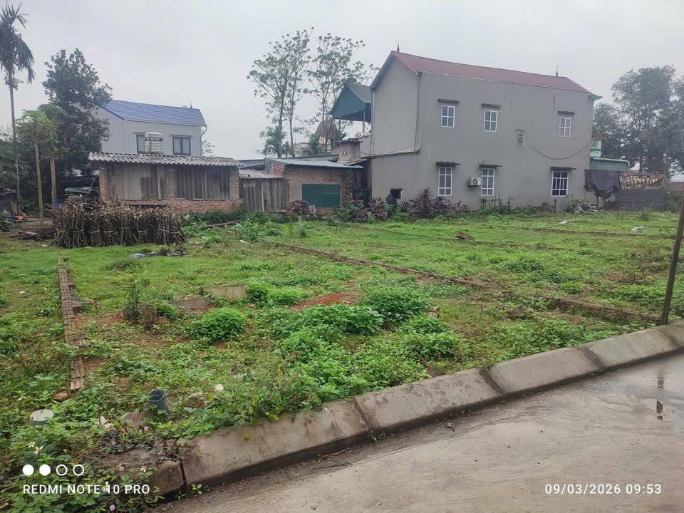 Đất Lương Sơn 100m2 sổ sẵn, ô tô tận nơi, giá hời