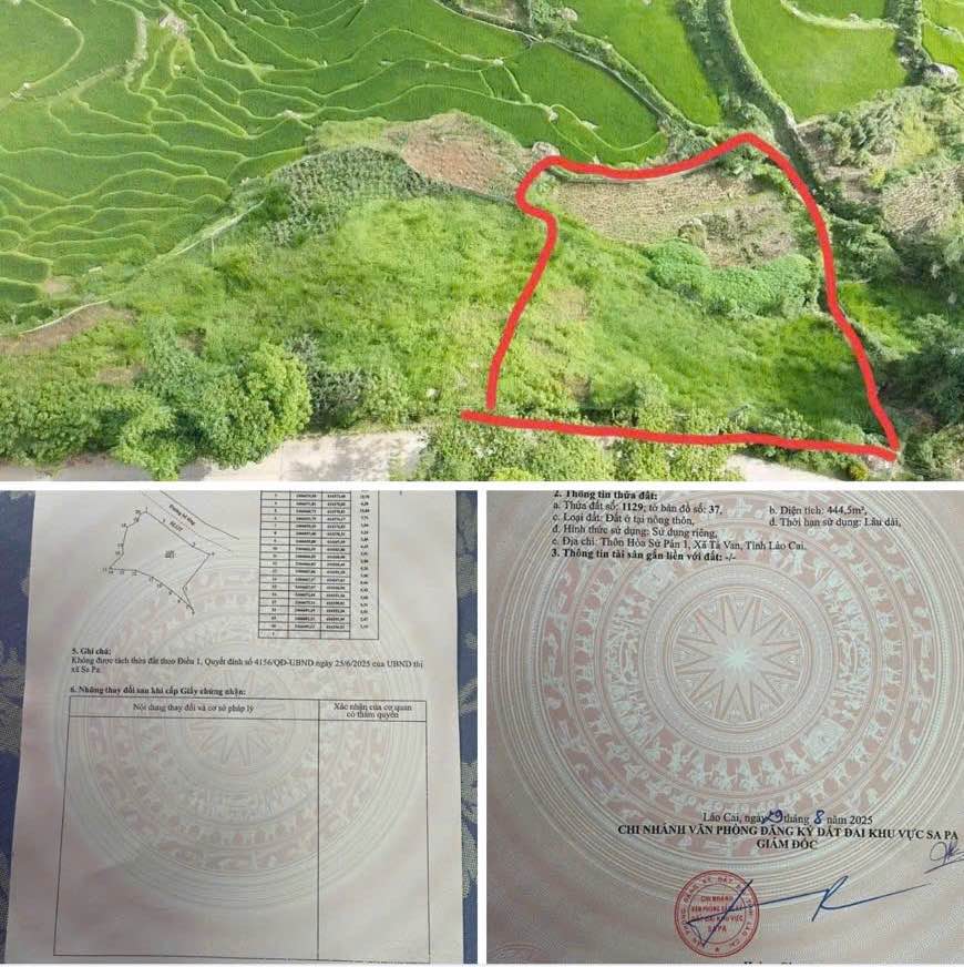 Đất vàng trung tâm Tả Van, nơi an cư lý tưởng