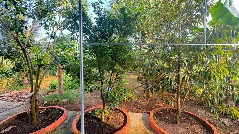 Bán nhà riêng huyện Đất Đỏ, tỉnh Bà Rịa, Vũng Tàu, giá 3,5 tỷ