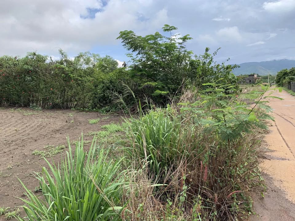 Bán đất huyện Xuyên Mộc, tỉnh Bà Rịa, Vũng Tàu giá 890 triệu