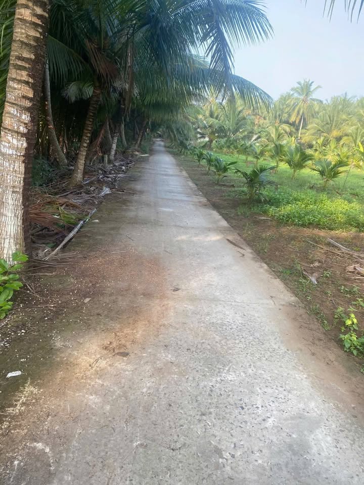 Bán đất huyện Giồng Trôm, tỉnh Bến Tre giá 470 triệu