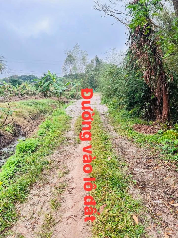 Bán kho bãi, nhà xưởng, khu công nghiệp huyện Phong Điền, tỉnh Thừa Thiên Huế