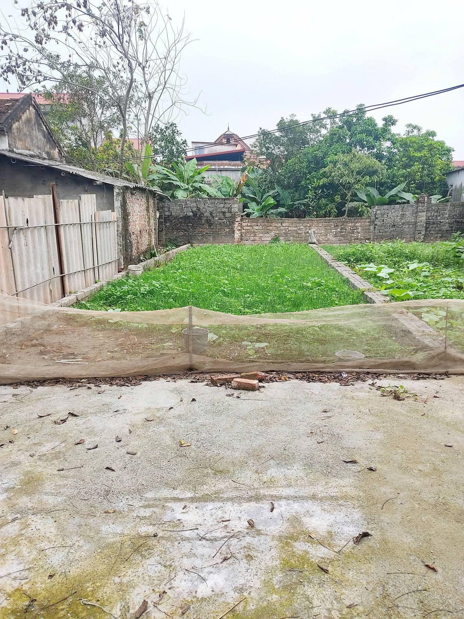 Siêu hiếm 80m full thổ cư tại bột xuyên chỉ nhỉnh 1 tỷ