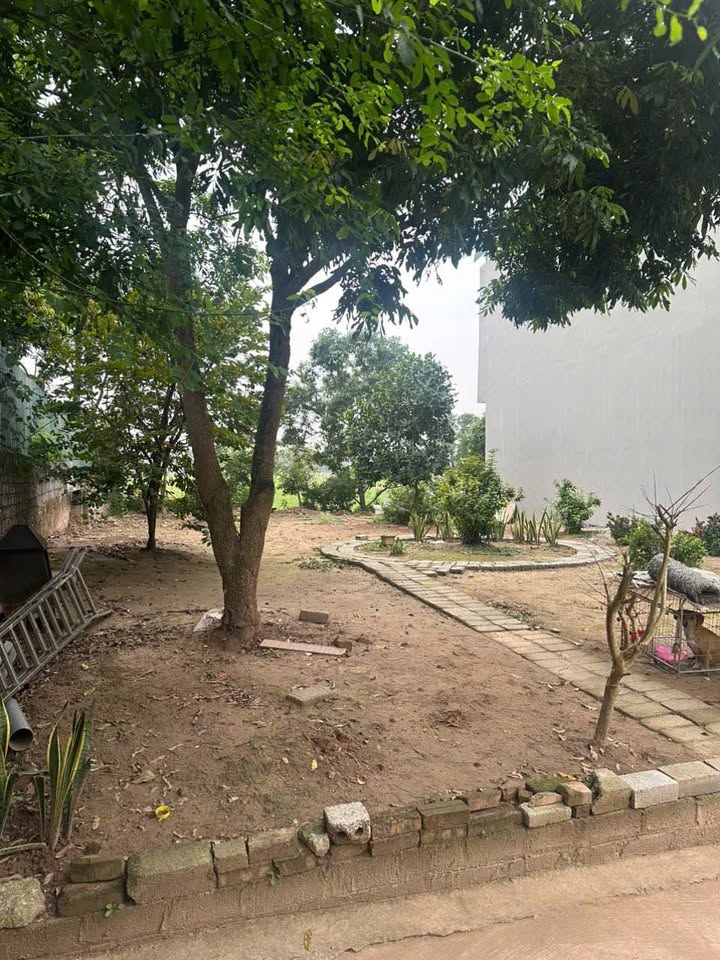 Bán đất nền ngay gần vòng xuyến cuối Điện Biên 3, phường Hồng Châu, thành phố Hưng Yên cũ