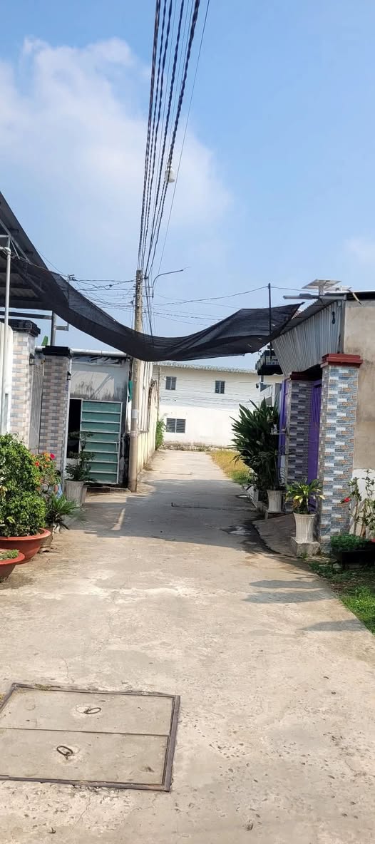 Cần bán 2 nền hẻm Kho Bia, phường 8, thành phố Bến Tre cũ