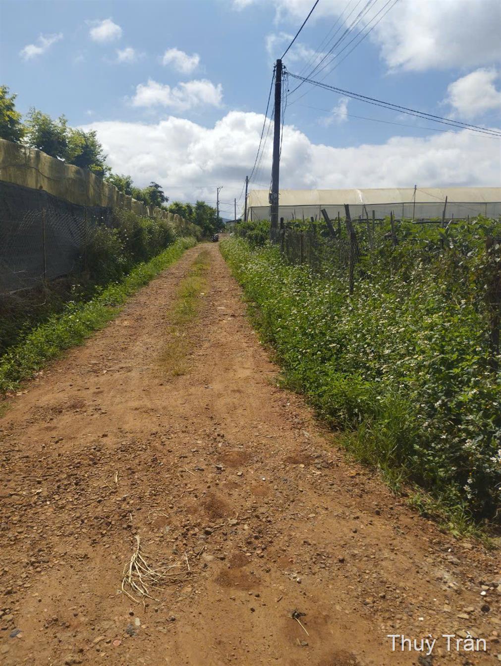 Bán đất Ka Đô, Đơn Dương, đường bê tông ô tô vào tận nơi, giá 800 triệu