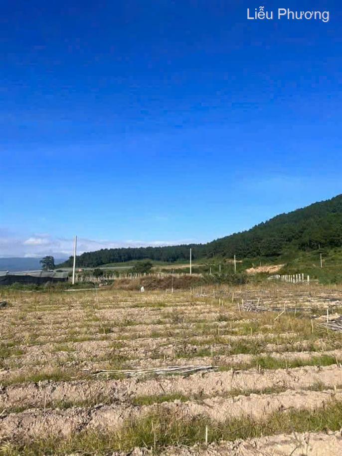 Bán đất tại Quảng Lập, Đơn Dương, đường bê tông rộng, nguồn nước tốt, giá 850 triệu