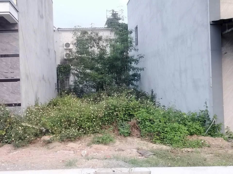 Bán lô đất mặt tiền đường nhựa, vỉa hè thuộc phường Long Tâm, thành phố Bà Rịa cũ, diện tích 89m2, giá 1.65 tỷ