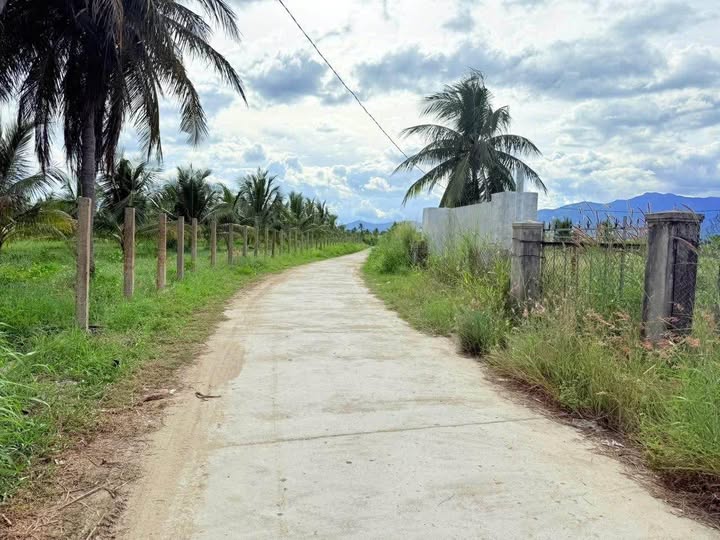 Bán đất khu dân cư Phú Hội 3, Vạn Thắng, cách biển chỉ 100m