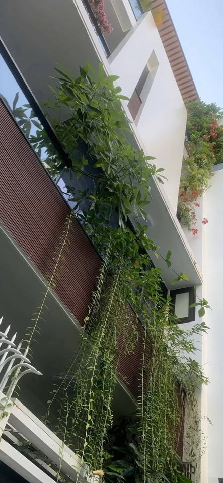 Bán nhà đẹp hẻm Hùng Vương, trung tâm khu phố Tây, Trần Phú, Lộc Thọ, Nha Trang, giá 13.5 tỷ