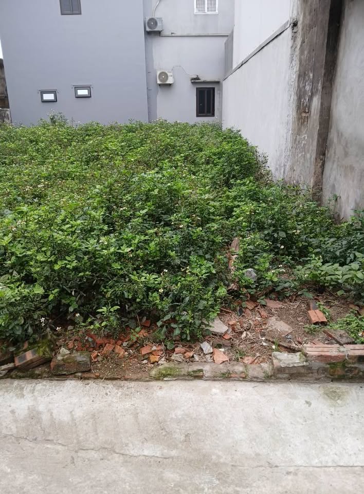 Bán đất tại Thanh Cao, Bình Minh, Thanh Oai, diện tích 65m2, ngõ rộng ô tô đỗ tại đất, giá 4.2 tỷ