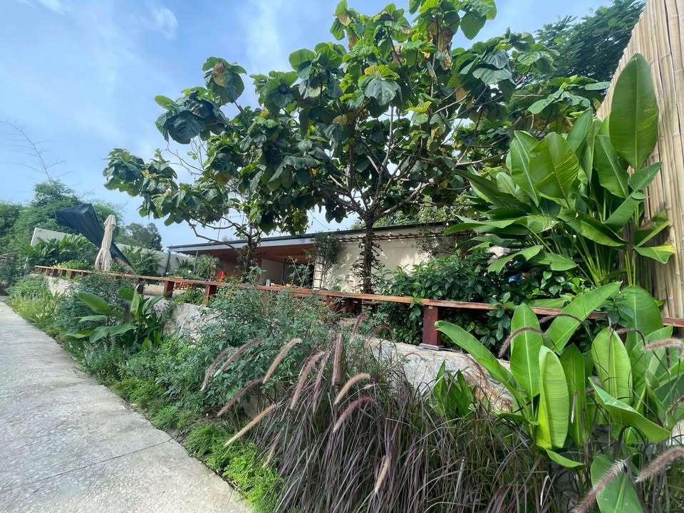 Bán đất thành phố Huế, tỉnh Thừa Thiên Huế