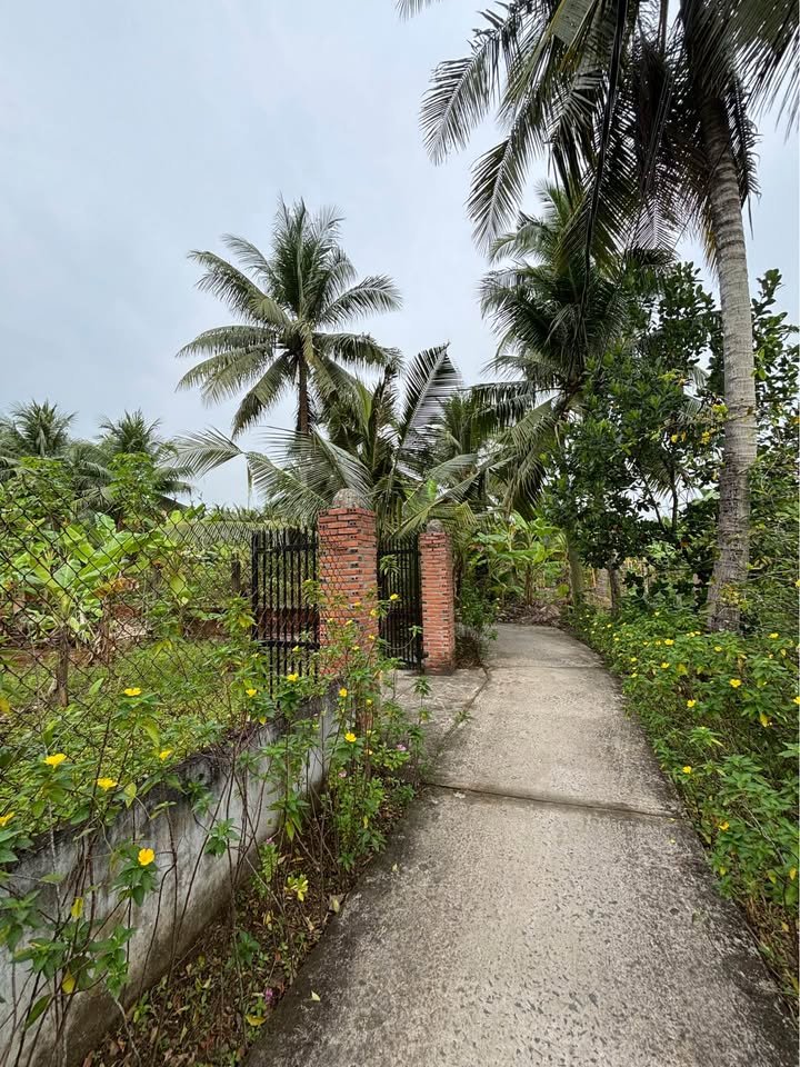 Bán đất huyện Châu Thành, tỉnh Bến Tre, giá 800 triệu