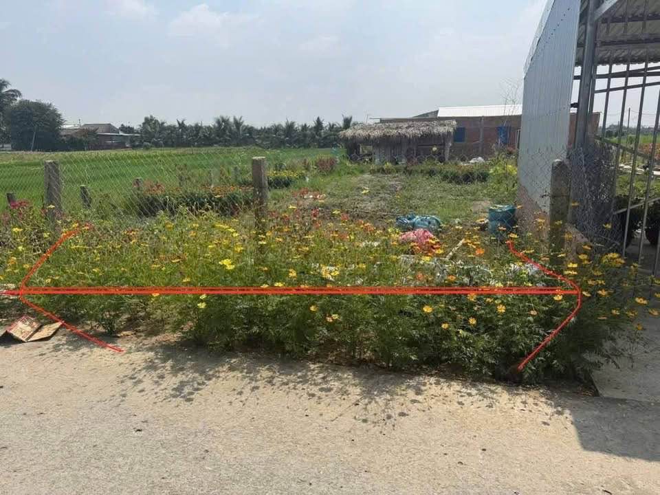 Bán nhà riêng thành phố Tân An, tỉnh Long An, giá 599 triệu