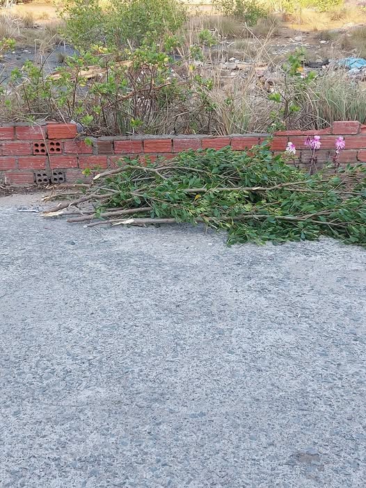 Bán nhà riêng thành phố Vũng Tàu, tỉnh Bà Rịa, Vũng Tàu, giá 480 triệu