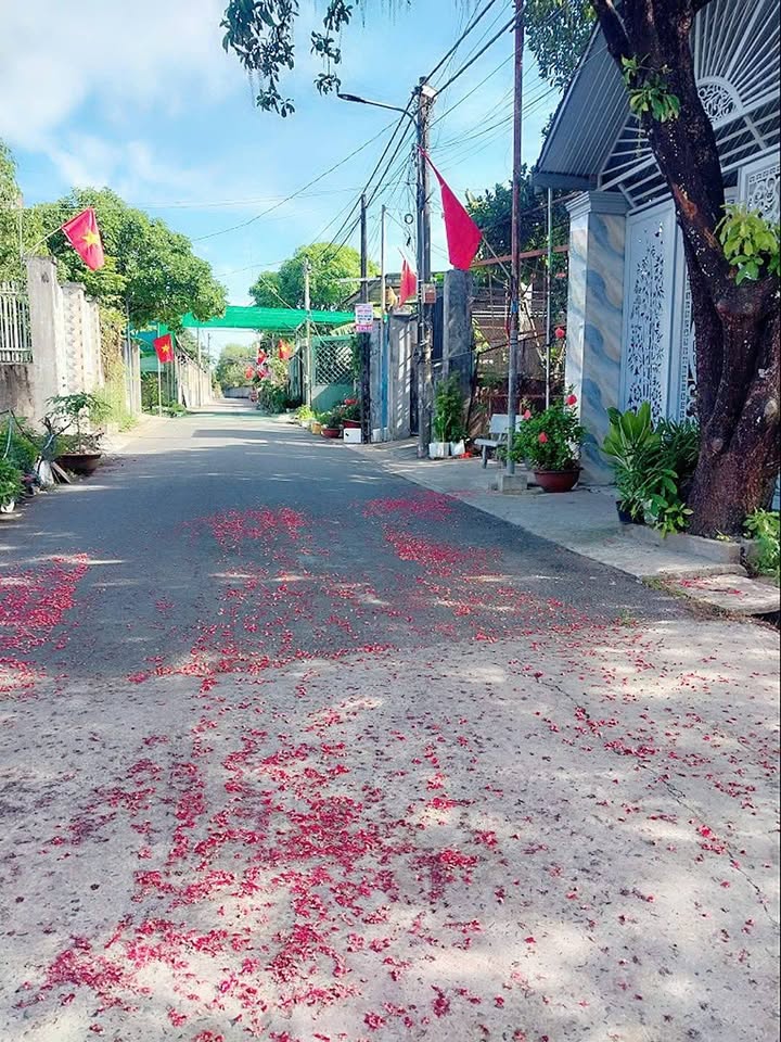 Bán đất nền sổ hồng riêng tại Trảng Dài, Đồng Nai, giá chỉ 1,49 tỷ