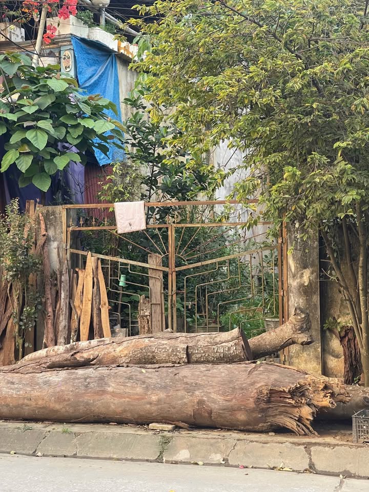 Bán đất thành phố Lào Cai, tỉnh Lào Cai, giá 2,6 tỷ