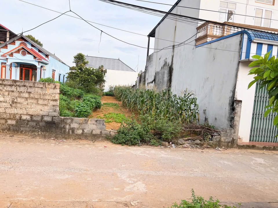 Bán đất tại Đông Yên, Quốc Oai, ngõ ô tô