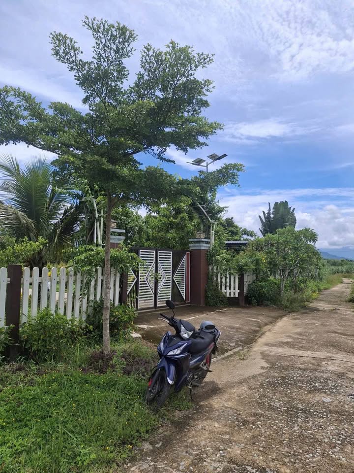 Bán gấp nông trại nhà vườn siêu đẹp tại Diên Đồng, Diên Khánh, giá 2.5 tỷ