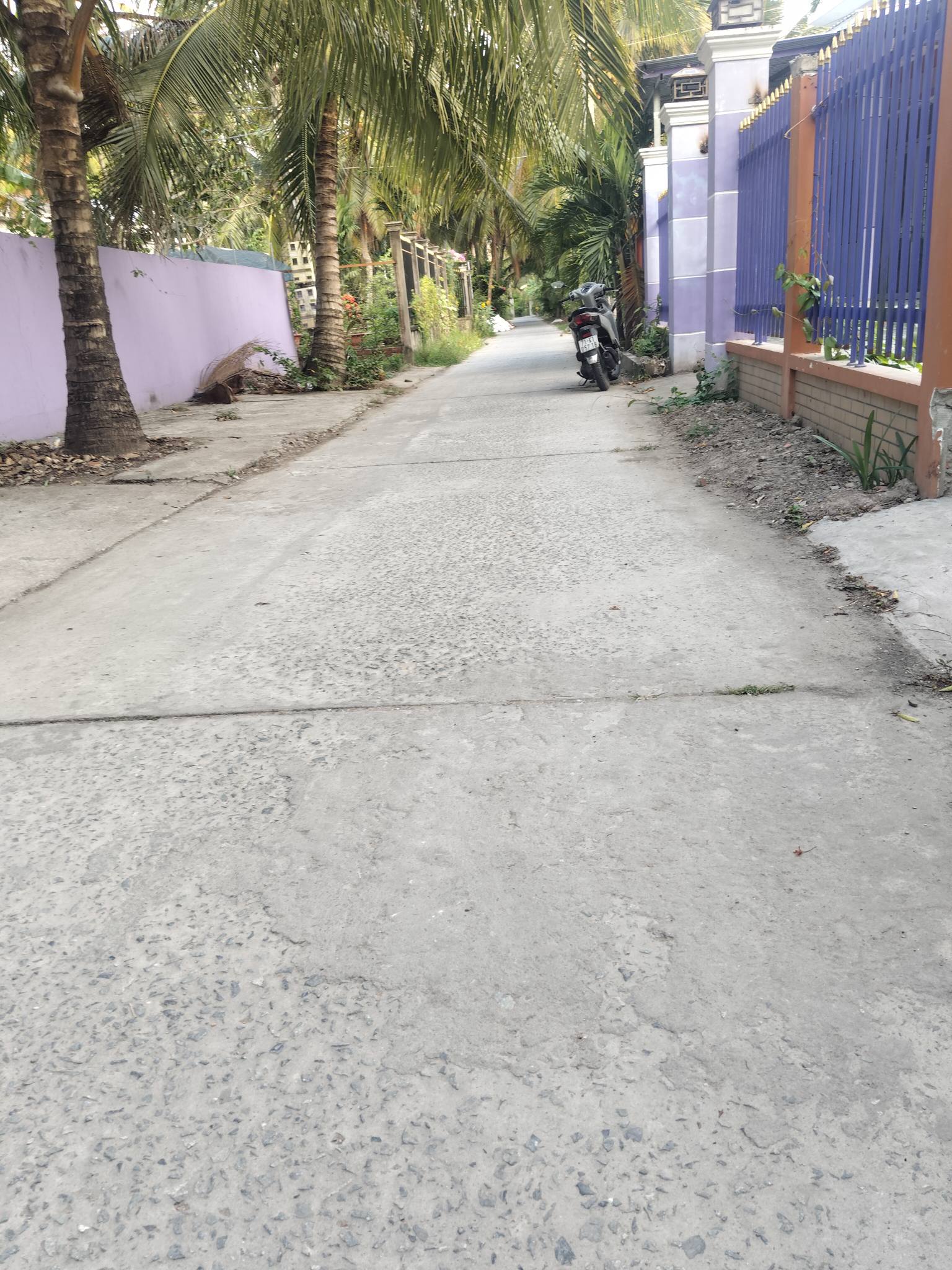 Cần ra gấp căn nhà Tân Phú Tây, Mỏ Cày Bắc, Bến Tre cũ, nay là xã Phước Mỹ Trung, tỉnh Vĩnh Long