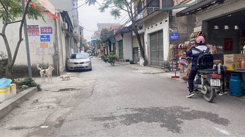 Bán đất đẹp tại Lạc Nông, Mai Đình, Sóc Sơn, 46m², mặt tiền 4,5m