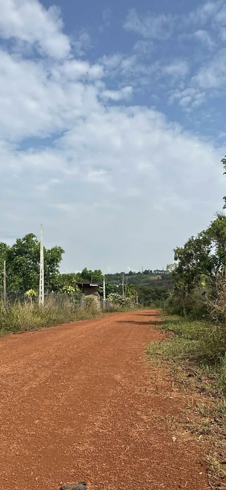 Bán gấp 200m2 đất thổ cư, sổ đỏ sẵn sàng, gần Nguyễn Văn Cừ, Đắk Nông