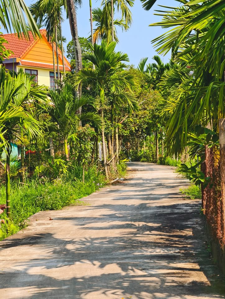 Bán đất tại Điện Bàn, Đà Nẵng, giá 885 triệu