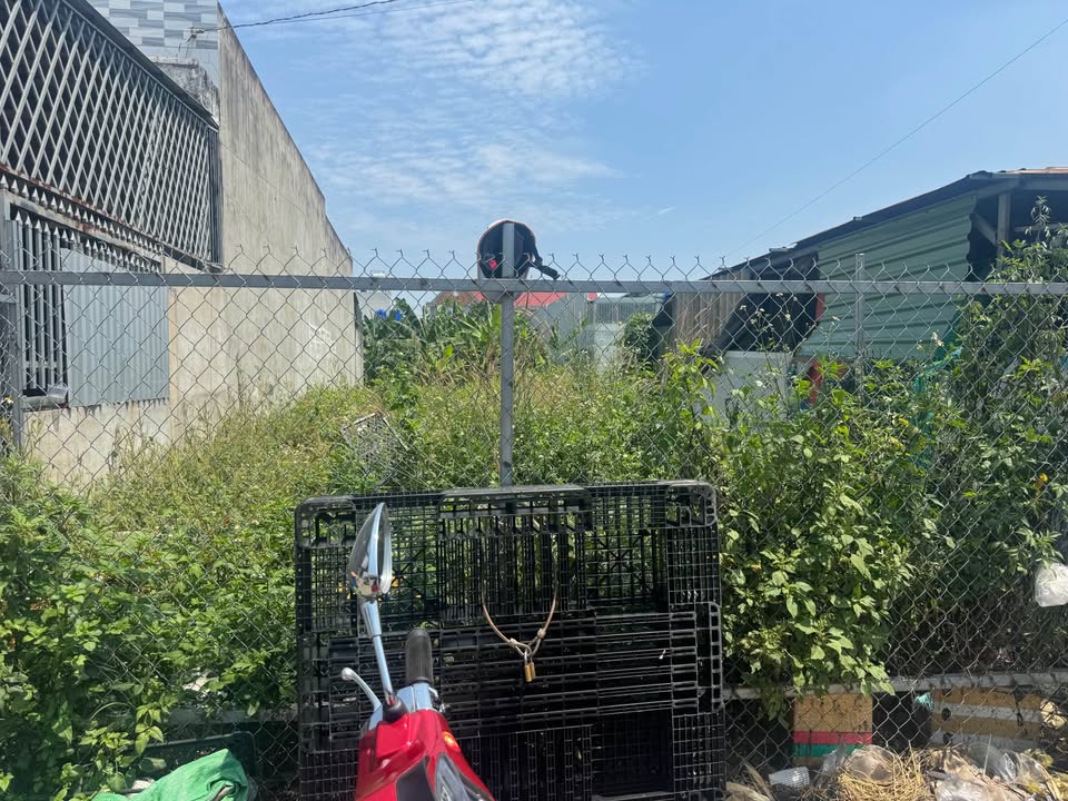 Bán đất Đức Hòa, Long An, mặt tiền chợ, sổ hồng riêng, giá 5.5 tỷ