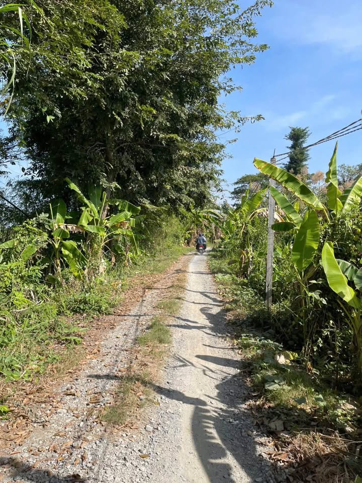 Bán đất ruộng mặt tiền lộ đá mi, phường Bình Đức, Long Xuyên