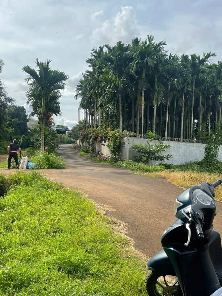 Bán đất nhà vườn view Đồng Thơ Mộng, Hòa Xuân, thành phố Buôn Ma Thuột