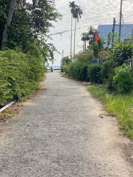 Bán đất đường Bùi Thị Xuân, thành phố Cao Lãnh, tỉnh Đồng Tháp, giá 1,65 tỷ